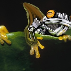 первый коллажик