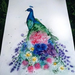 Peacock