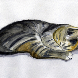 Sleeping tiger