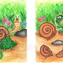 История про лягушку и улитку 2