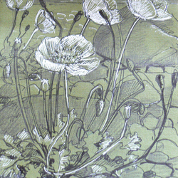 Рейнеке. Белый мак.