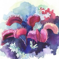 carnivorous plant