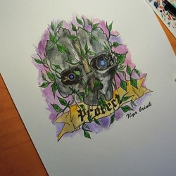 Маска лорда-защитника