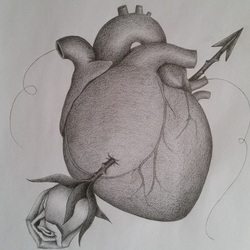 сердце