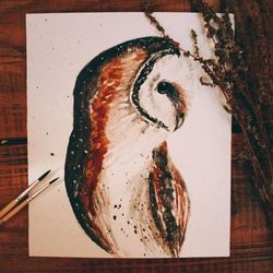 owl