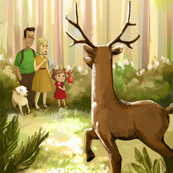 Deer in the woods