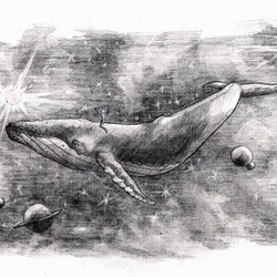 whale