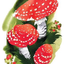 Иллюстрация к детской книге "Семь Цветов Радуги"