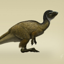 Kulindadromeus