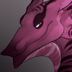 Pink Dragon