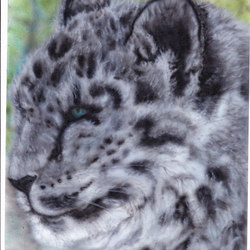 Снежный котофей