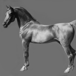 лошадь рисунок