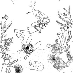 Silence & Rabbits: Scuba