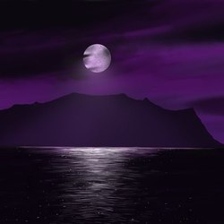 violet night