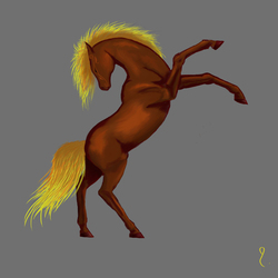 Первый этап