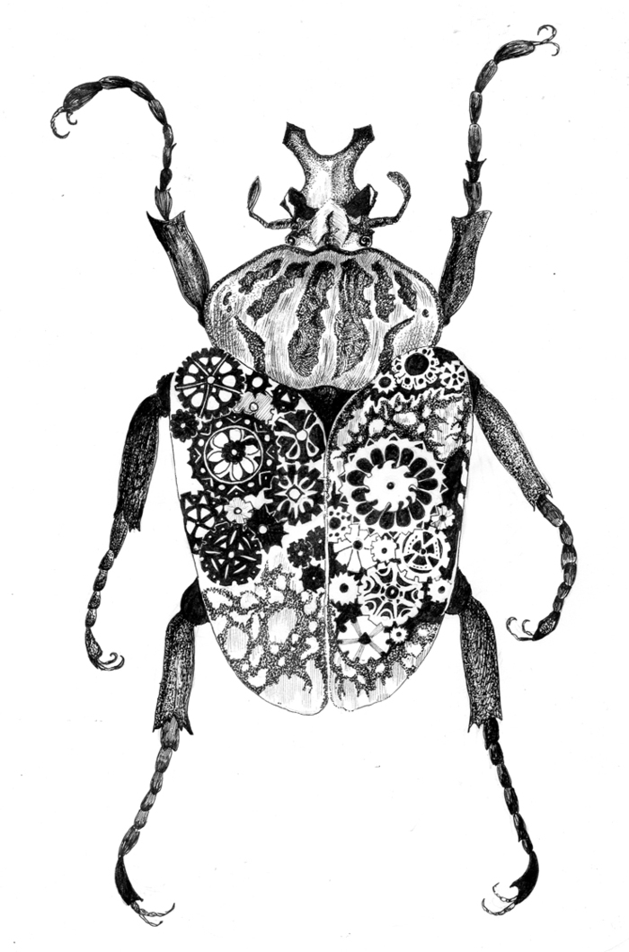 Рисунки красивых жуков