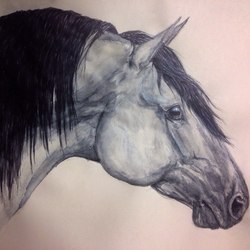 Andalusian horse