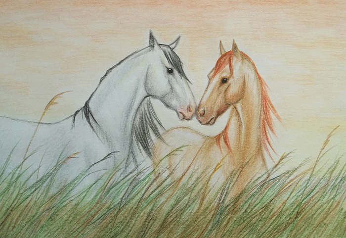Просто лошадки. Лошадь простым карандашом. Лошади в графике художников. Иллюстрация к произведению лошади в океане. Лошадь в траве рисунок.