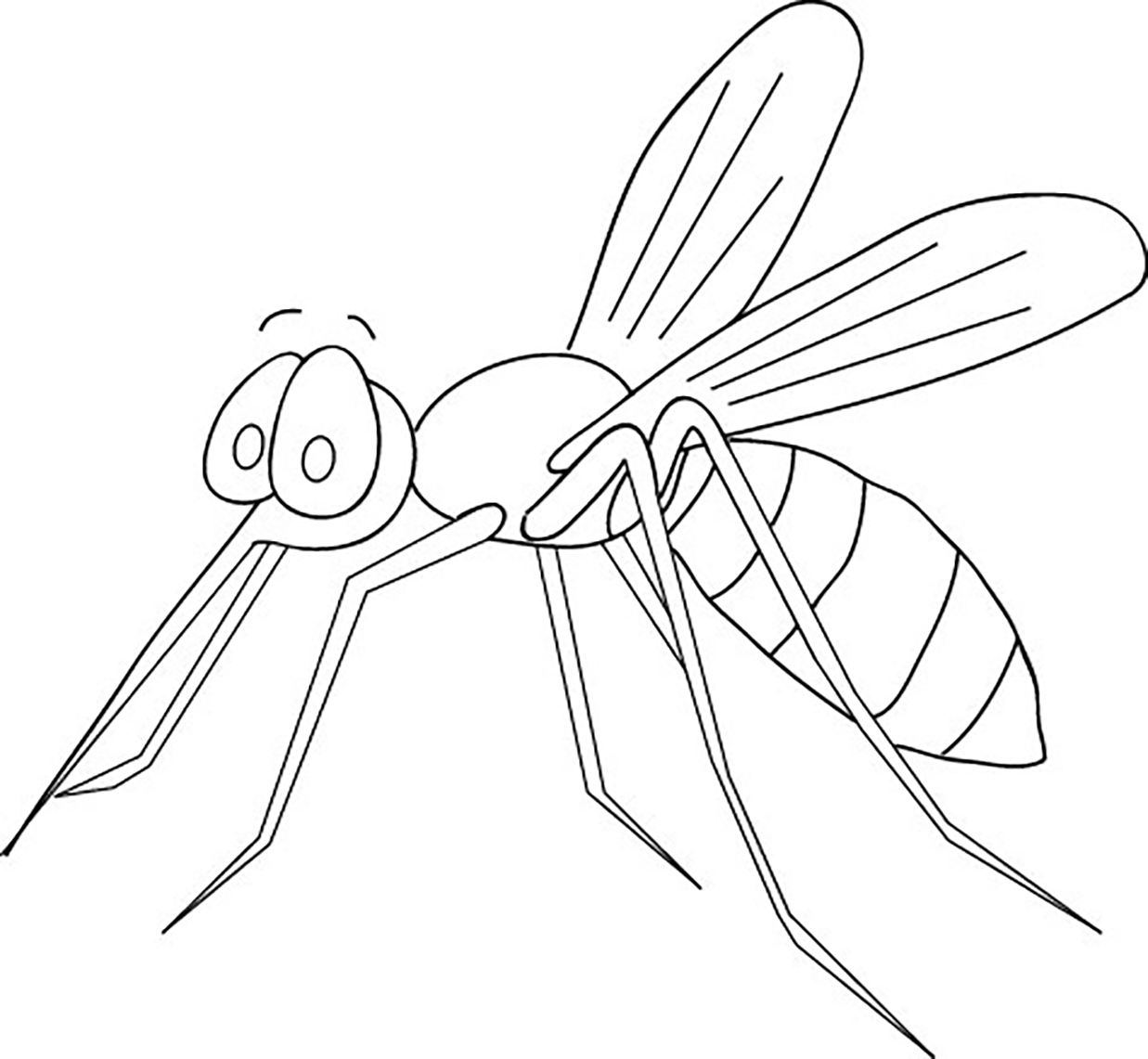 Раскраска насекомые комар