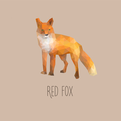 red fox