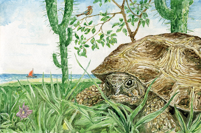 Прочитать рассказ черепаха. Лев Николаевич толстой черепаха. Сказка черепаха толстой. Черепаха л толстой. Черепаха рассказ Толстого.