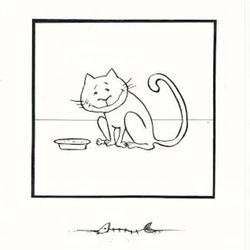 Приключения кота