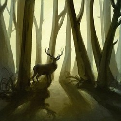 Тайны леса
