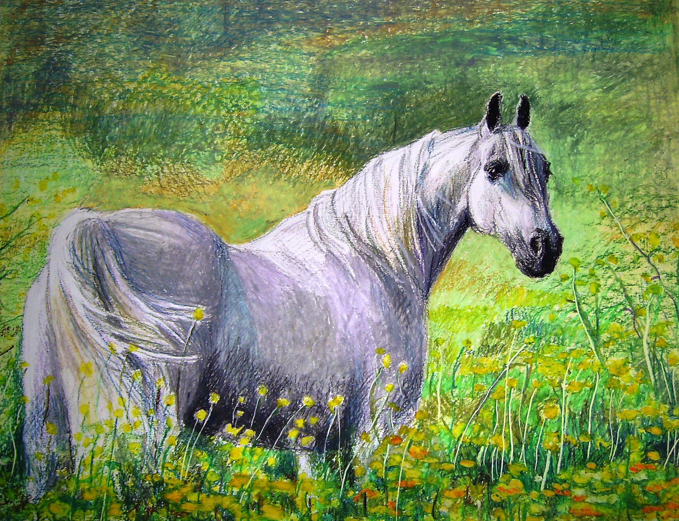 Так легко ускакала в поле. Лошадь ускакала. Рисунок лошади легко в цвете. В поле молодая лошадь. Рисунок Графика лошадь в поле.