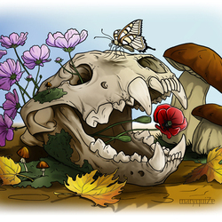 Skull and butterfly