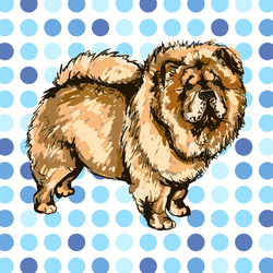 Иллюстрация собаки породы Чау-Чау