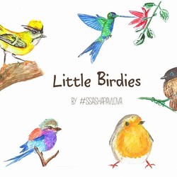 Маленькие птички