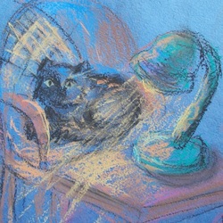 Чёрный певун