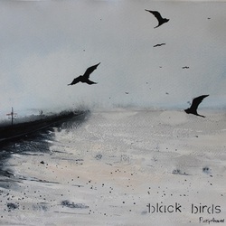 Black birds