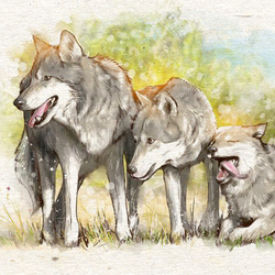 Животные "Волки"