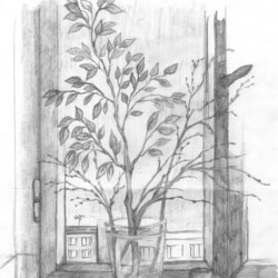 Веточка берёзы