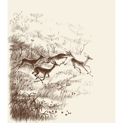 Иллюстрация к роману Жюля Верна "Пятнадцатилетний Капитан" (Африканские антилопы)