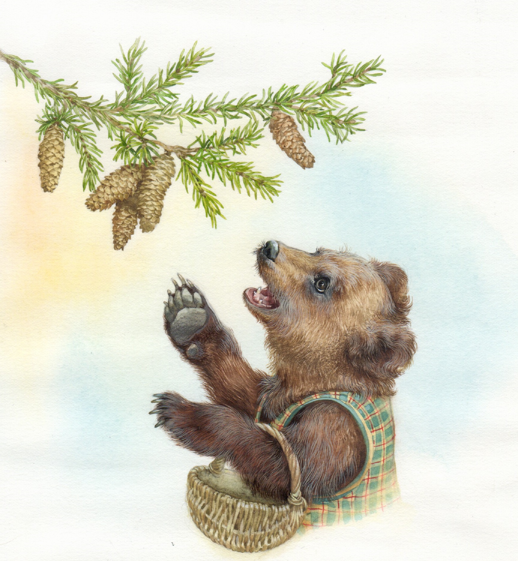 Екатерина Бородачева художник иллюстратор три медведя