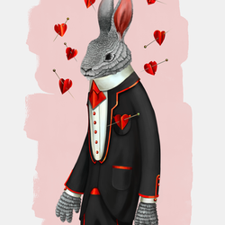 Rabbit`sSuit