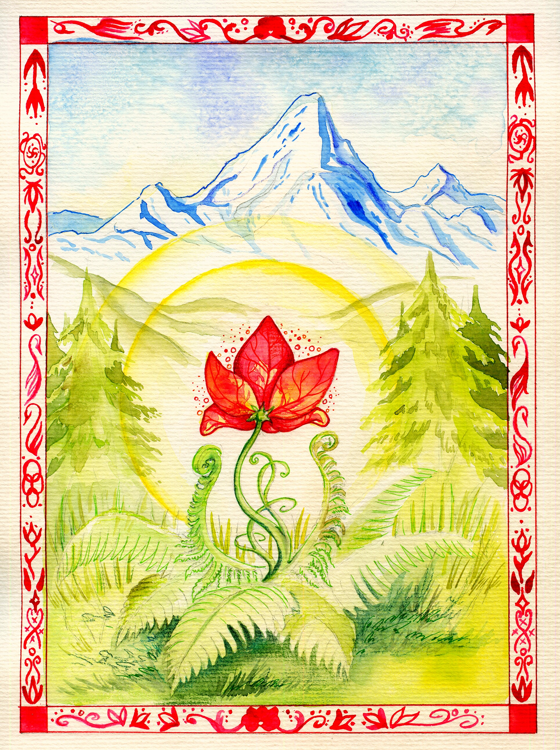 Цветок папоротника рисунок
