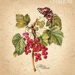 Ботаническая картинка ..