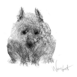 Wombat