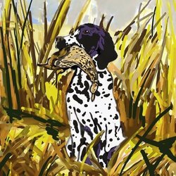 охотничья собака