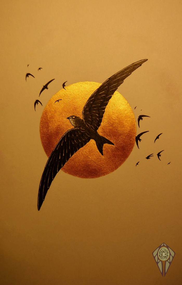 Иллюстрация Черный стриж в стиле 2d | Illustrators.ru