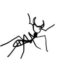 Ant