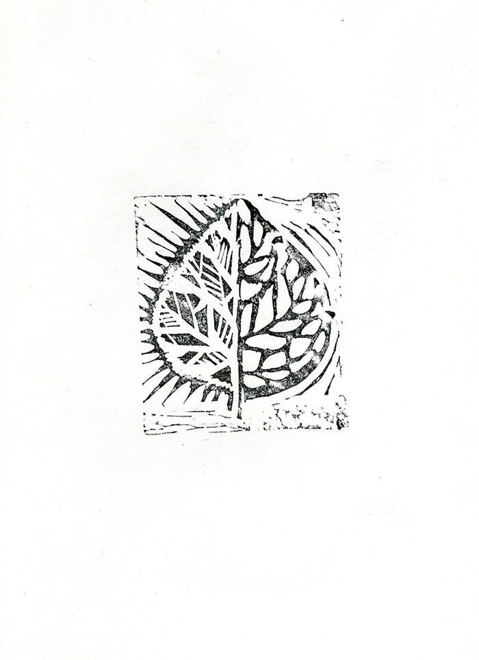 Иллюстрация Лист кисти Ниггля в стиле графика | Illustrators.ru