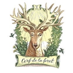 Cerf dans la foret