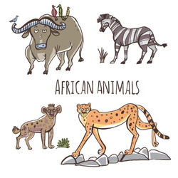 African animals