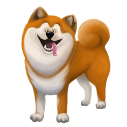 Funny akita