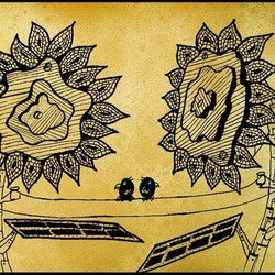 Подсолнухи