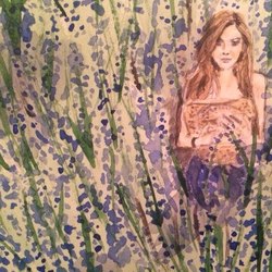 Полевые цветы